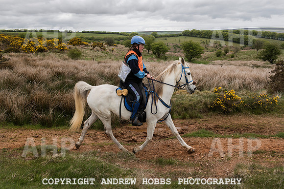 HOB_4593 copy