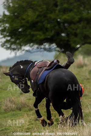 AHP_3888 copy