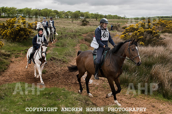 HOB_4629 copy