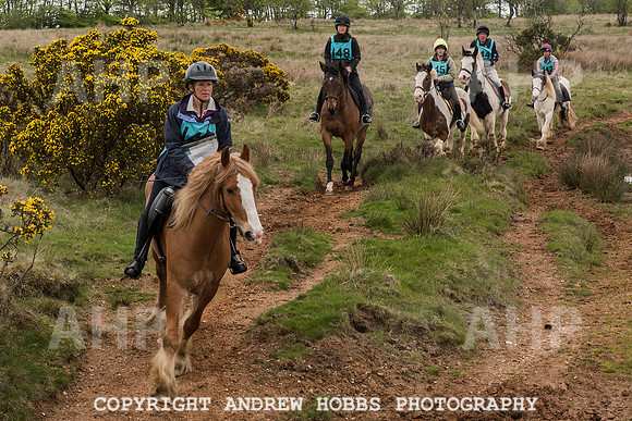 HOB_4656 copy