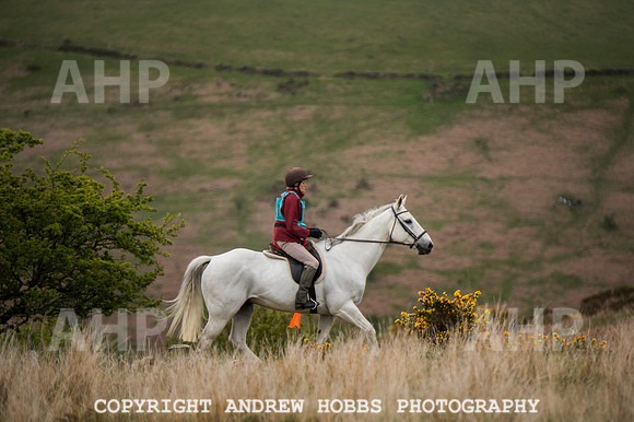 AHP_3955 copy