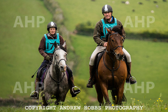 AHP_3966 copy
