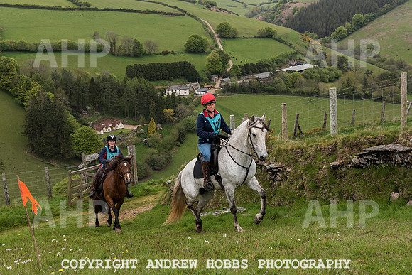 HOB_4743 copy