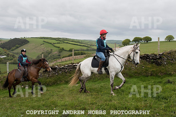 HOB_4744 copy