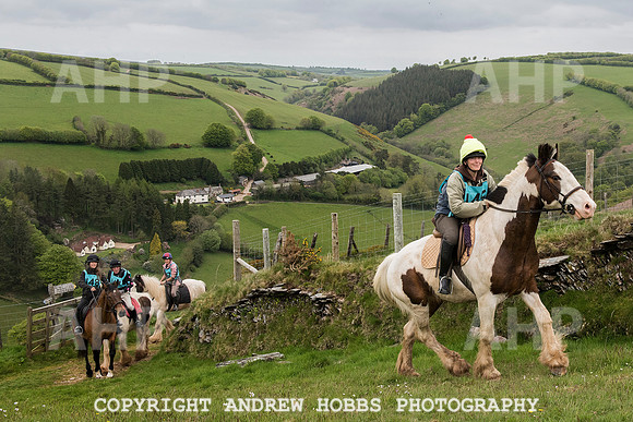 HOB_4746 copy