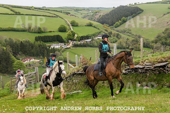 HOB_4748 copy
