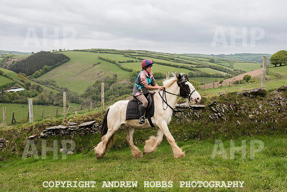 HOB_4752 copy