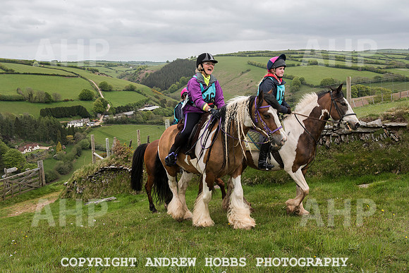 HOB_4756 copy