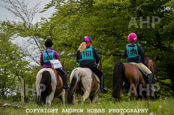 AHP_3971 copy