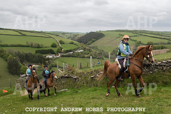 HOB_4765 copy