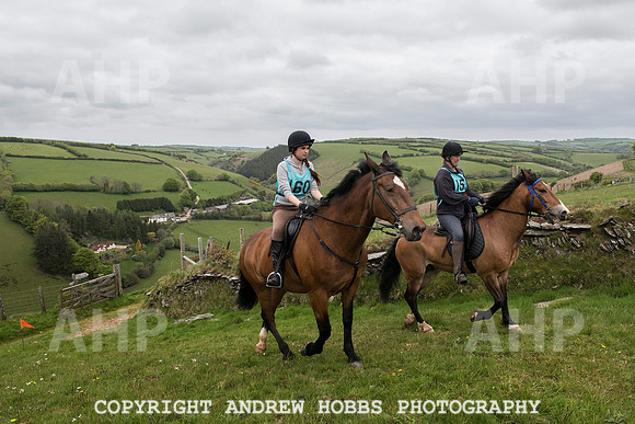 HOB_4767 copy