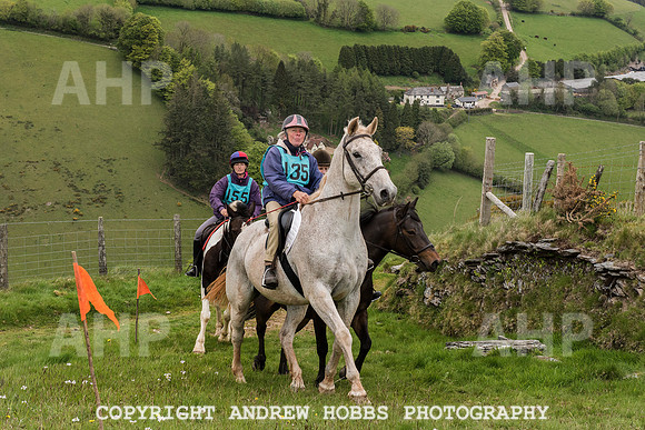 HOB_4773 copy