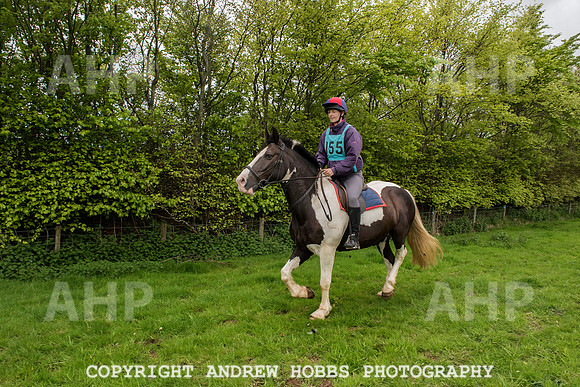 HOB_4787 copy