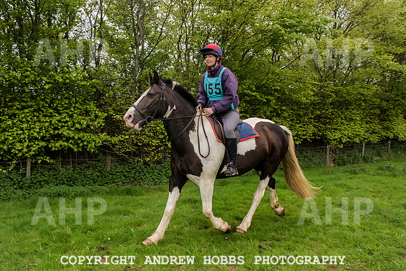 HOB_4788 copy