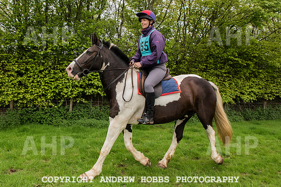 HOB_4790 copy