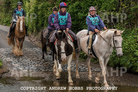 HOB_4795 copy