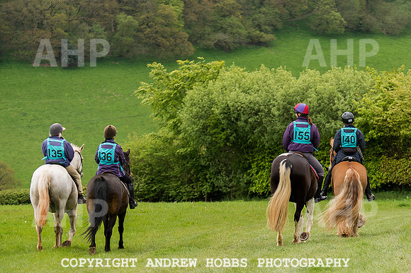 AHP_3986 copy