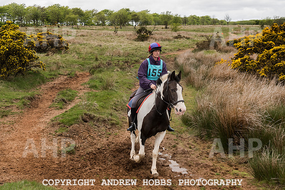 HOB_4683 copy