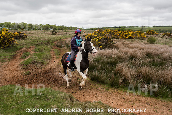 HOB_4685 copy