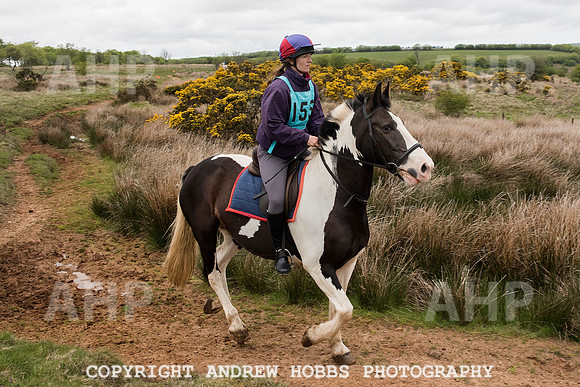 HOB_4687 copy