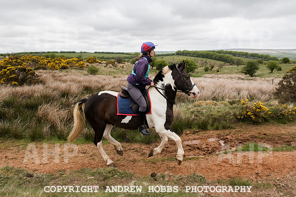 HOB_4689 copy