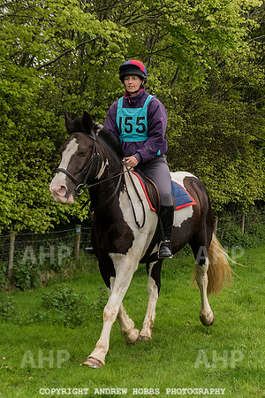HOB_4783 copy