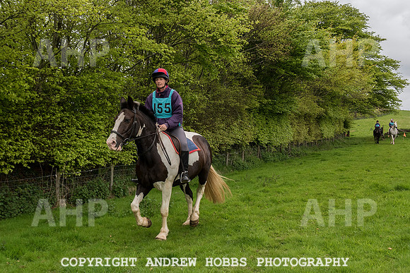 HOB_4784 copy
