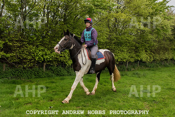 HOB_4786 copy