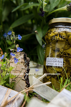 Lisette de Roche Priestlands Birch Products 007