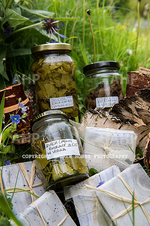 Lisette de Roche Priestlands Birch Products 012