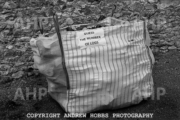 Wambrook Flower Show Centenary 149