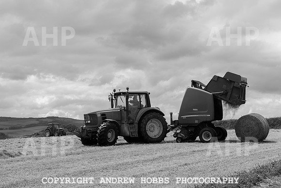 HOB_6204 copy