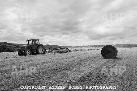 HOB_6206 copy
