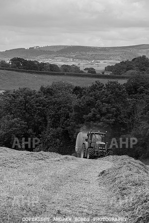 HOB_6211 copy