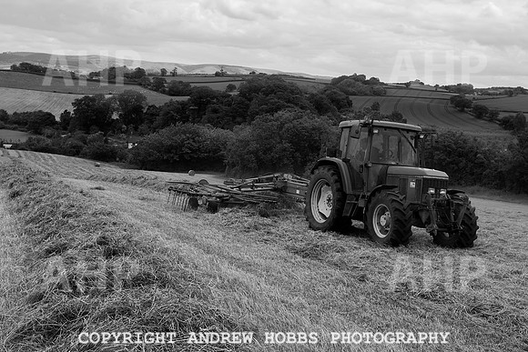 HOB_6265 copy