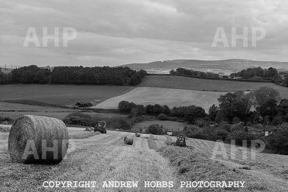 HOB_6249 copy