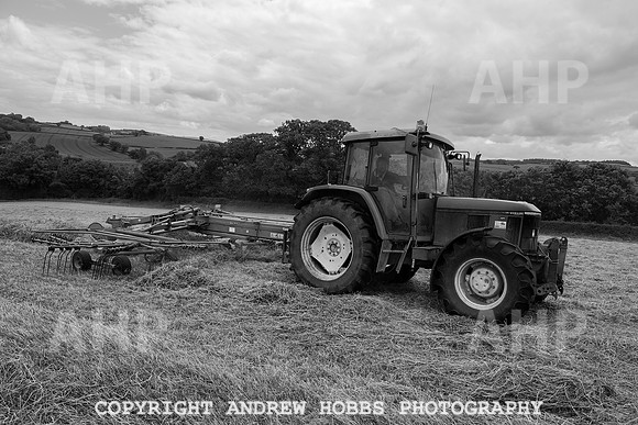 HOB_6269 copy