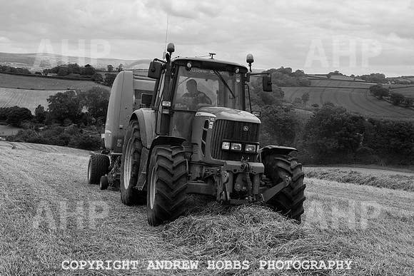 HOB_6273 copy