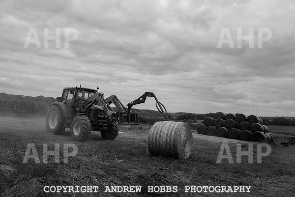 HOB_6287 copy