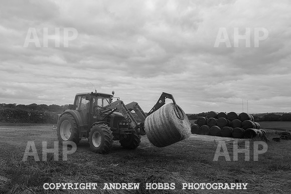 HOB_6293 copy