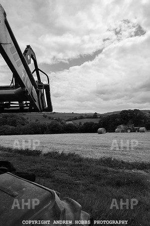 HOB_6308 copy