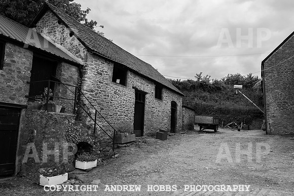 HOB_6324 copy