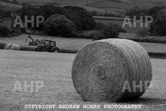 HOB_6159 copy