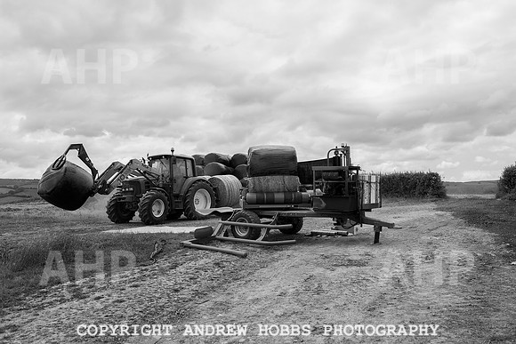 HOB_6178 copy