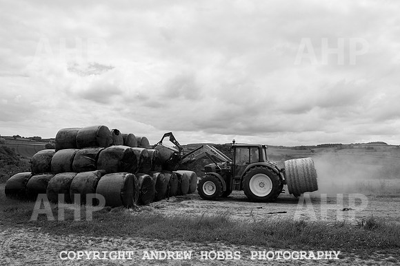 HOB_6180 copy