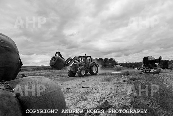 HOB_6202 copy