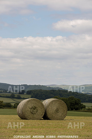 HOB_6162 copy