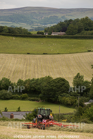 HOB_6208 copy