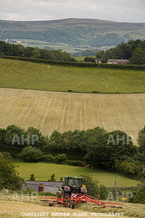 HOB_6209 copy