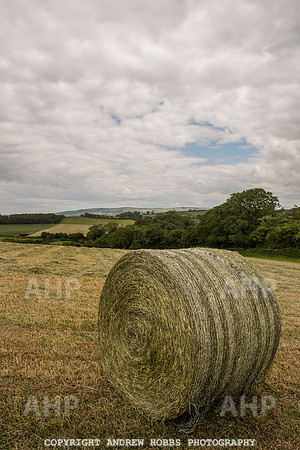 HOB_6221 copy
